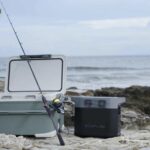 5 Best Solar Generators for Fishing in 2025